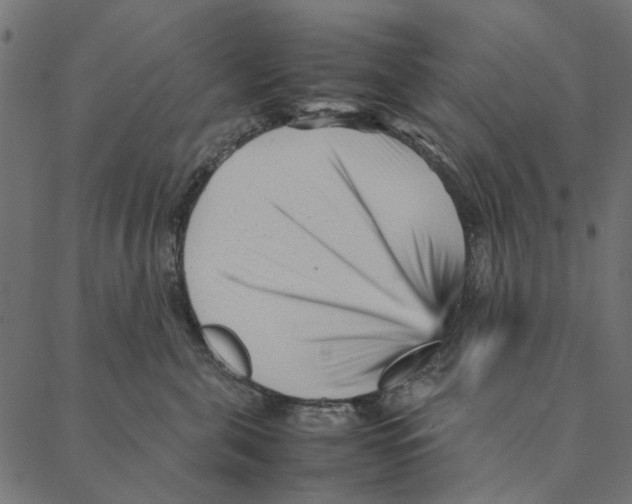 X0000087390571200705181310