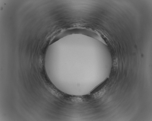 X0000087390572200705181310