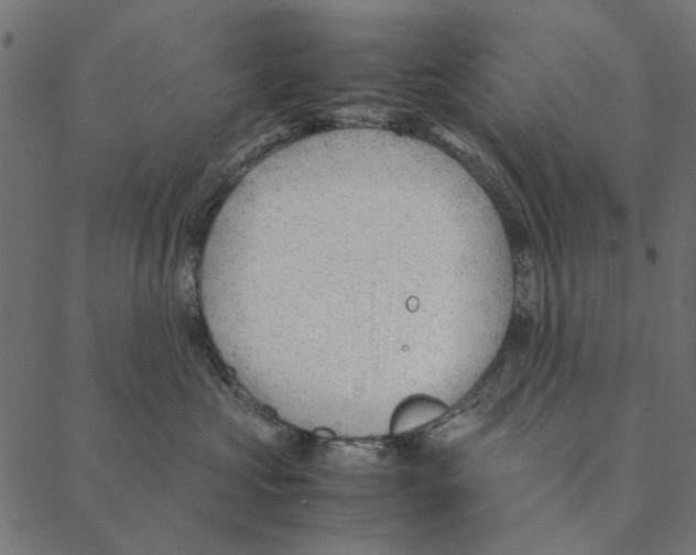 X0000087390573200705181310