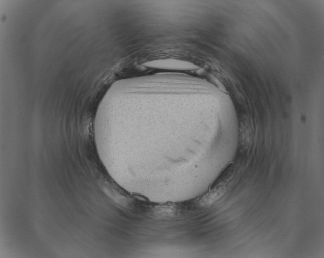 X0000087390574200705181310