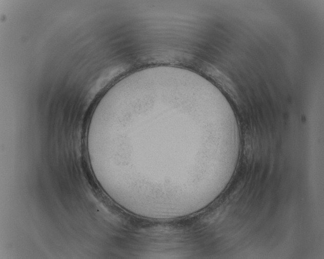 X0000087390578200705181309