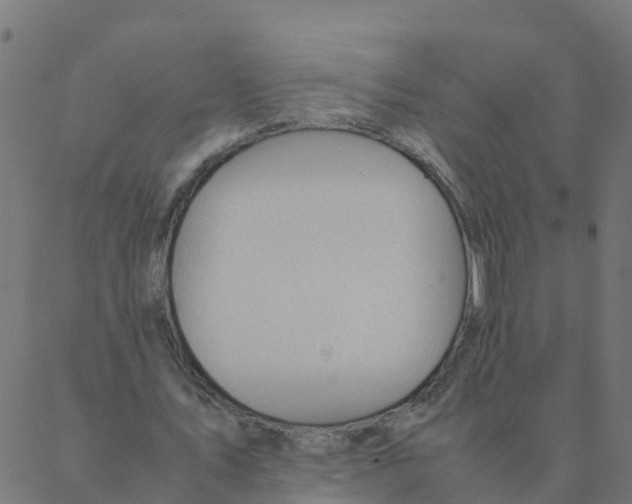 X0000087390579200705181309