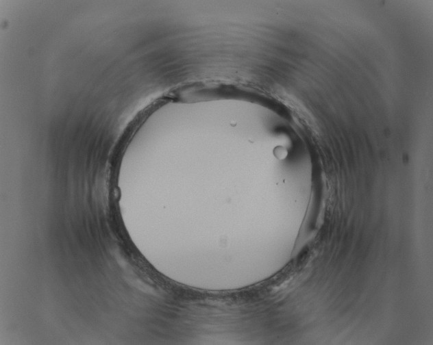 X0000087390580200705181309