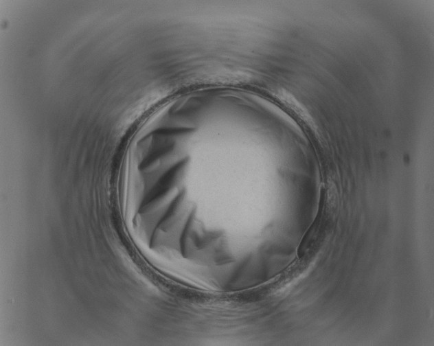 X0000087390581200705181309