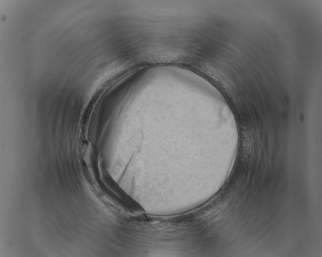 X0000087390582200705181309