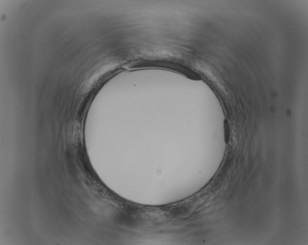 X0000087390583200705181309