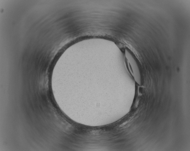 X0000087390584200705181309