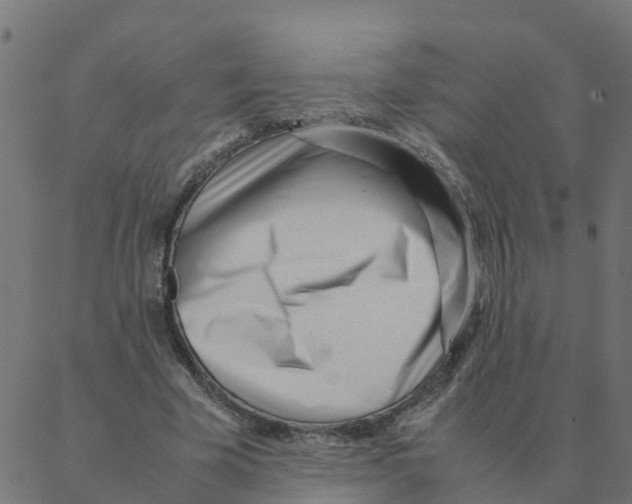 X0000087390585200705181309