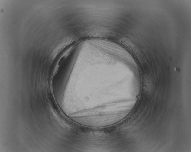 X0000087390586200705181309