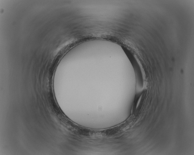 X0000087390587200705181309