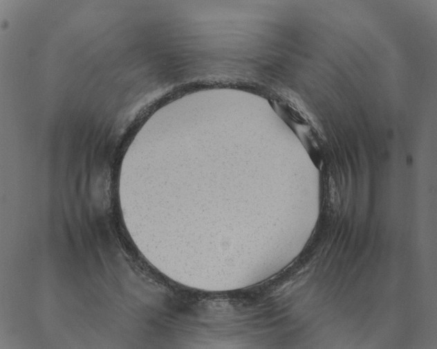 X0000087390588200705181309