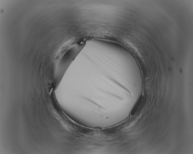 X0000087390589200705181309