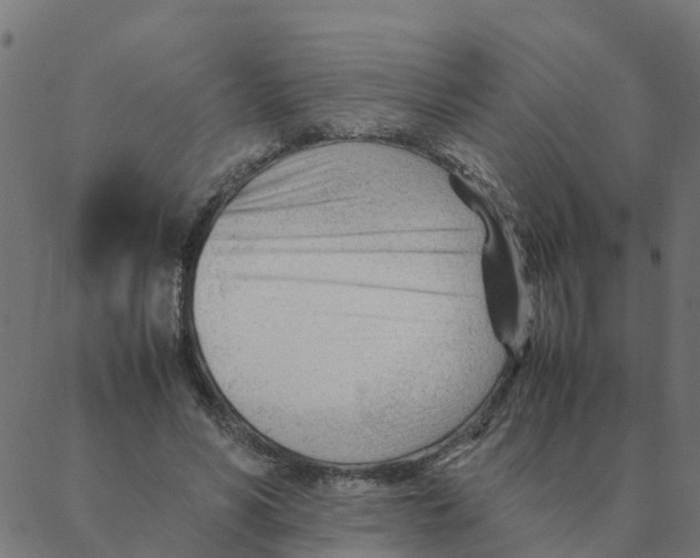 X0000087390590200705181309