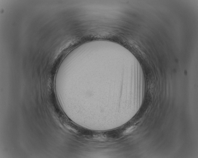 X0000087390591200705181309