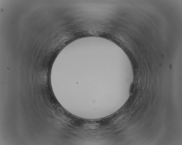 X0000087390595200705181309