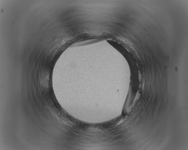 X0000087390596200705181309