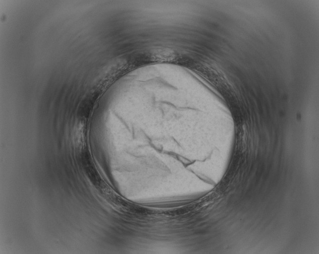 X0000087390598200705181309