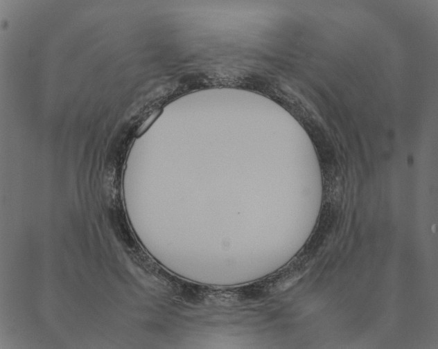 X0000087390599200705181309