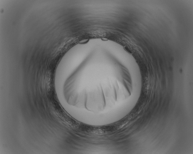 X0000087390600200705181309