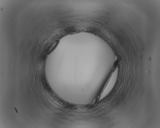 X0000087390601200705181309