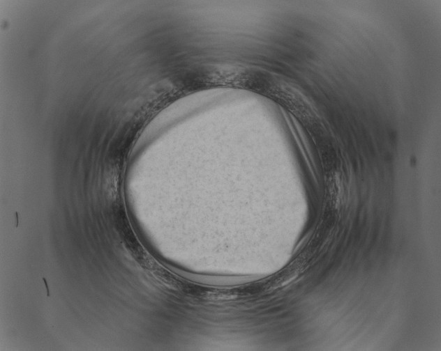 X0000087390602200705181309