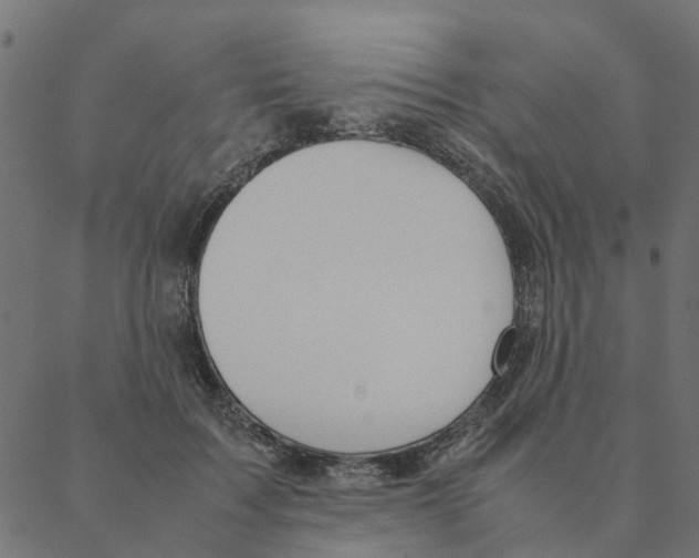 X0000087390603200705181309