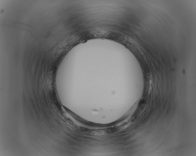 X0000087390604200705181309