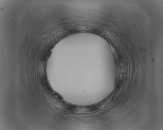 X0000087390605200705181309