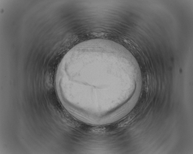 X0000087390606200705181309