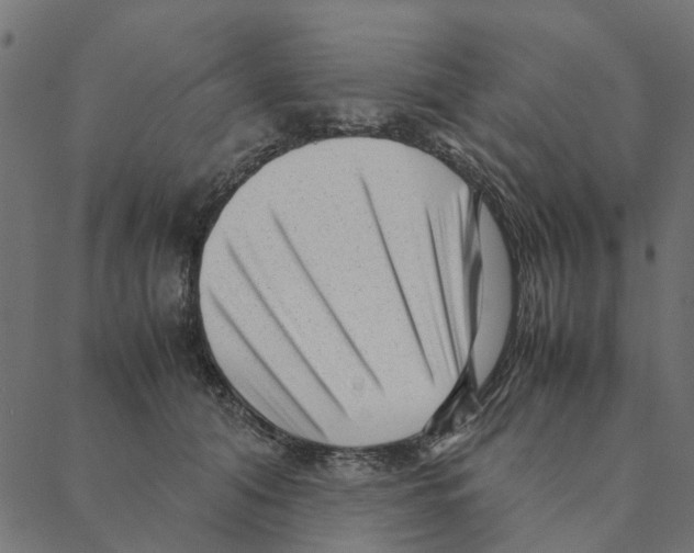 X0000087390608200705181309