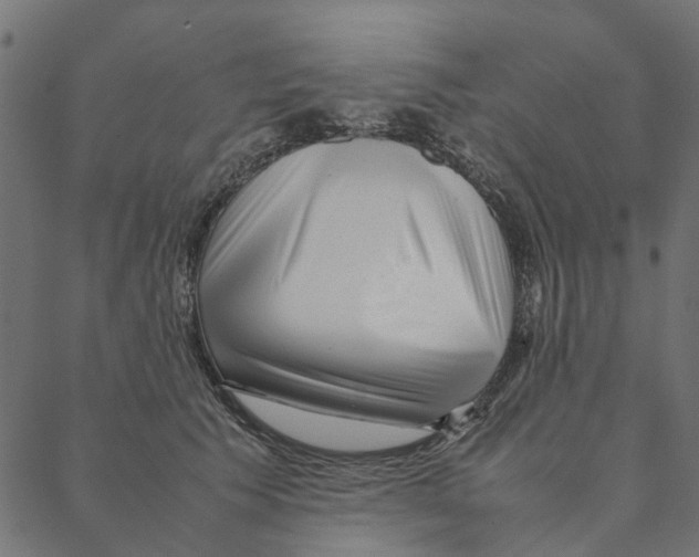 X0000087390609200705181309