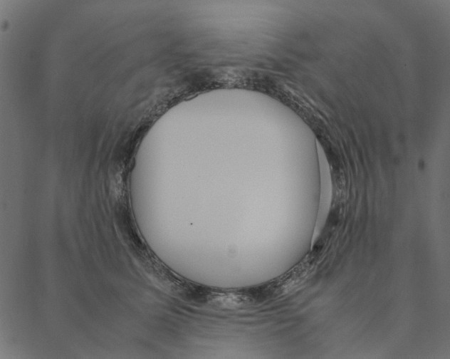 X0000087390611200705181309