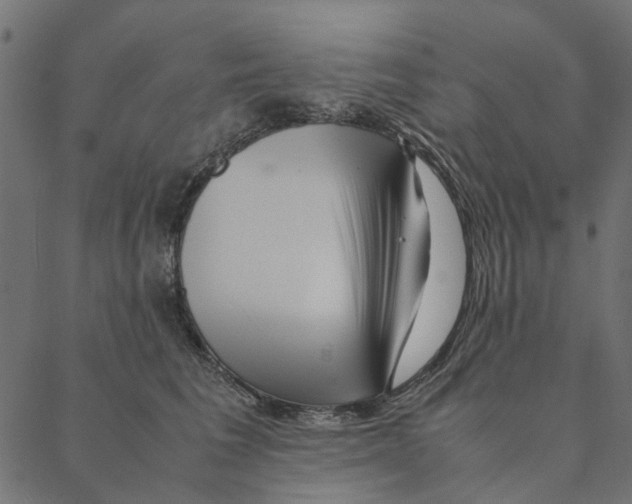 X0000087390613200705181309