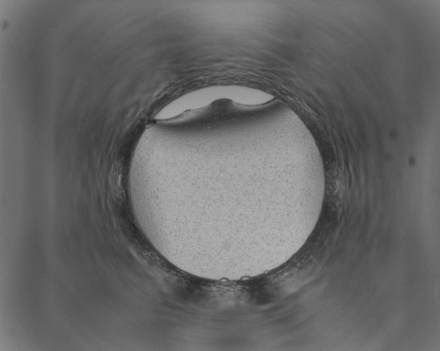 X0000087390615200705181309