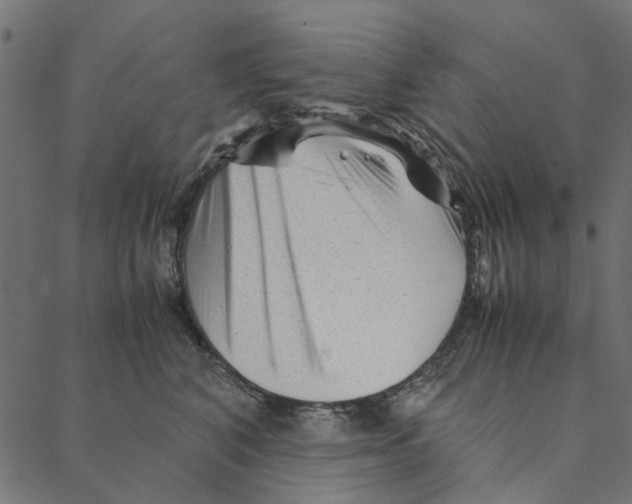 X0000087390616200705181309