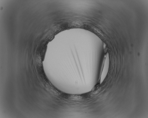 X0000087390617200705181309