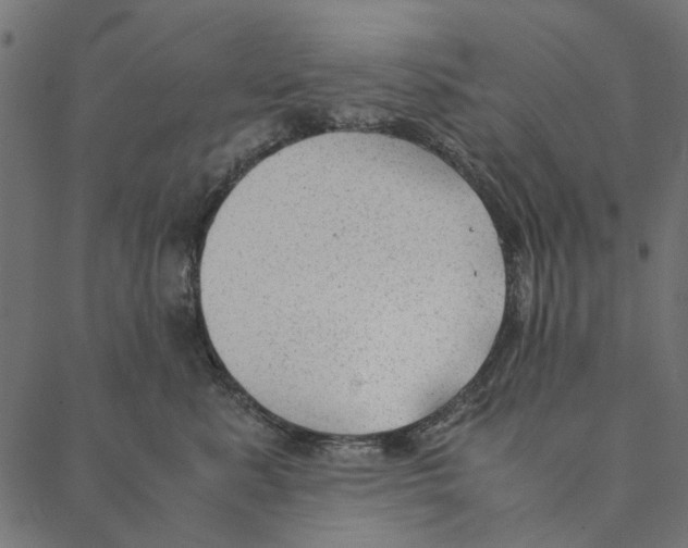 X0000087390619200705181309