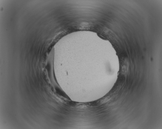 X0000087390620200705181309