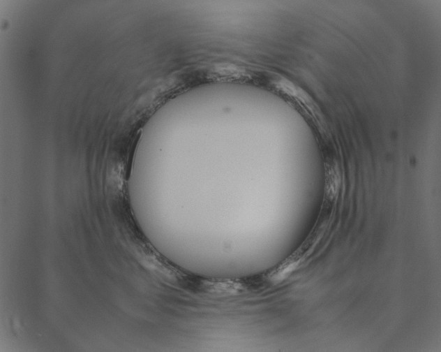 X0000087390621200705181309