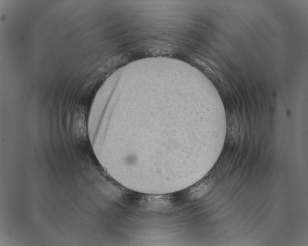 X0000087390622200705181309