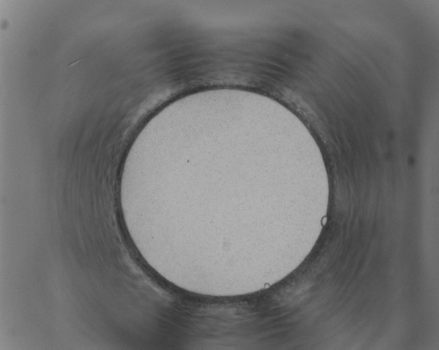 X0000087390625200705181308