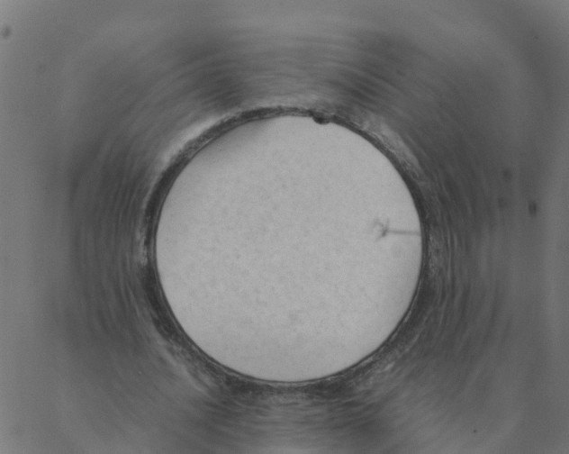 X0000087390628200705181308