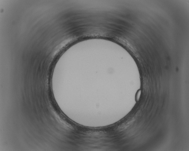 X0000087390629200705181308