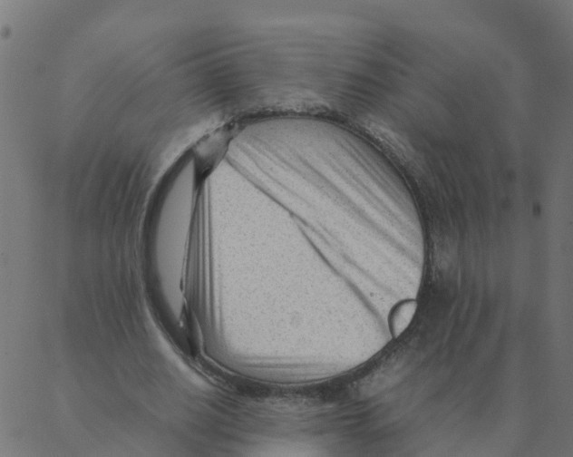 X0000087390630200705181308