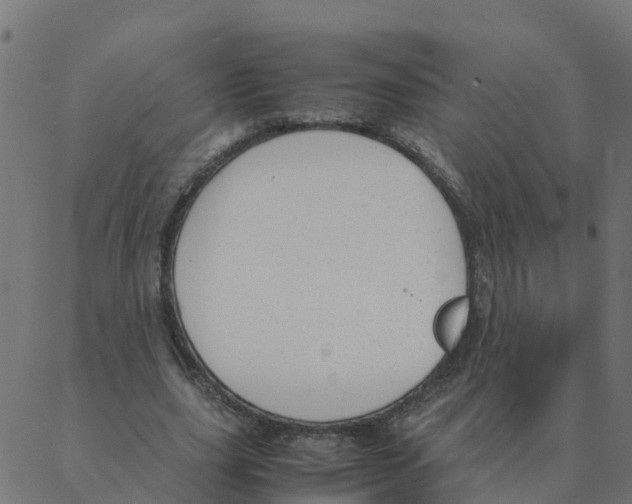 X0000087390631200705181308