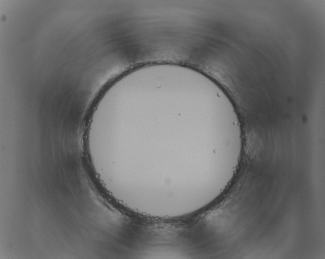 X0000087390632200705181308