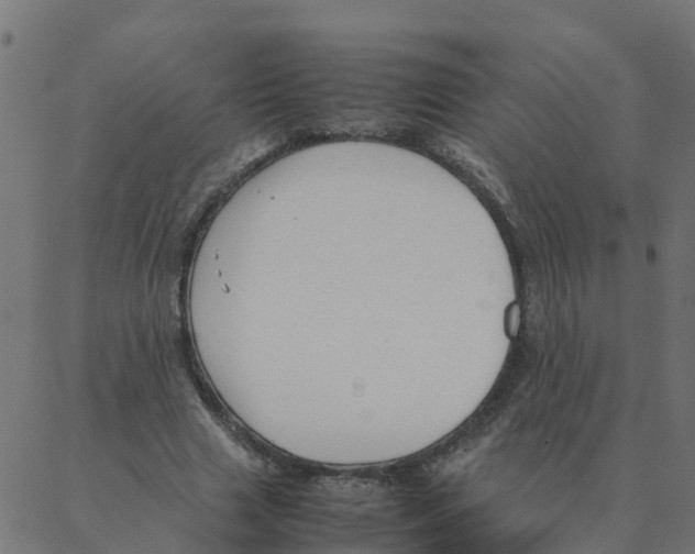 X0000087390633200705181308