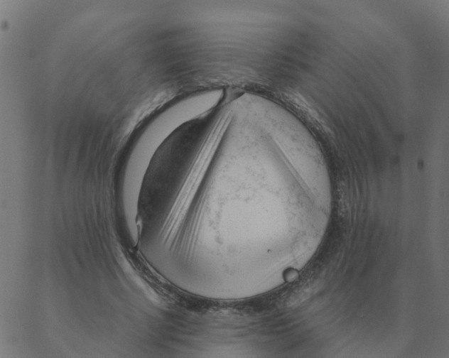 X0000087390634200705181308