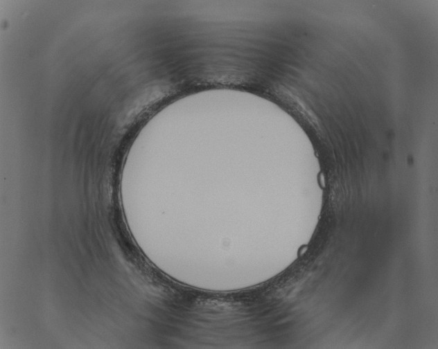 X0000087390635200705181308