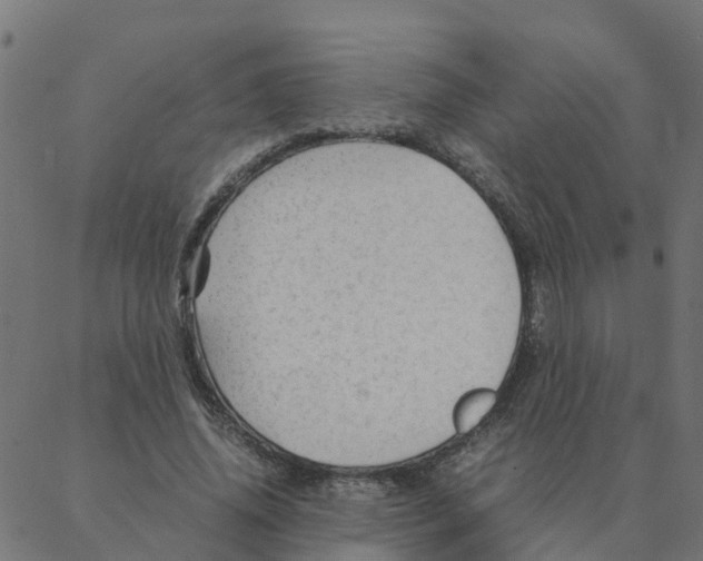 X0000087390636200705181308